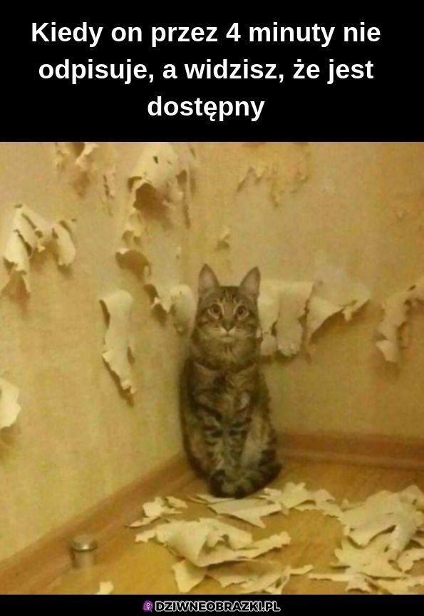 Kiedy ona potrzebuje uwagi
