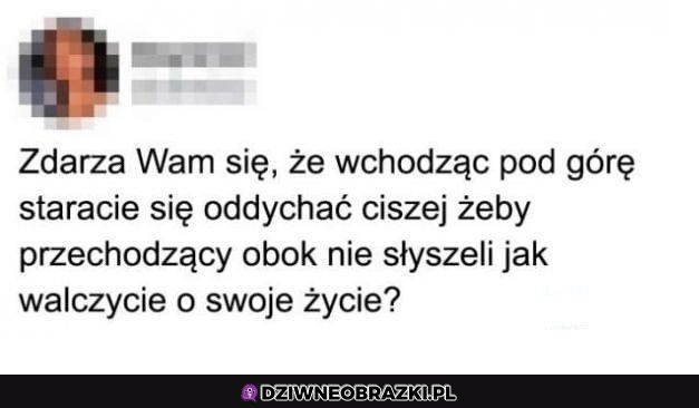 Zawsze