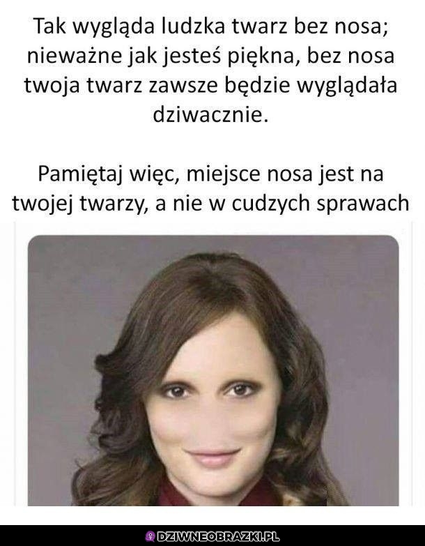 Nos