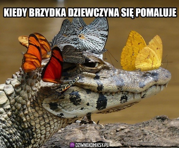 Tak to wygląda