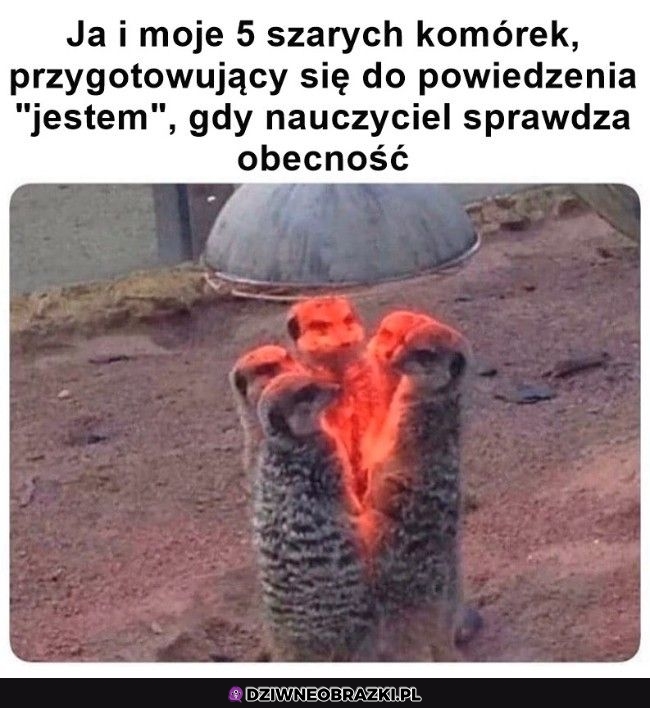 Ten moment