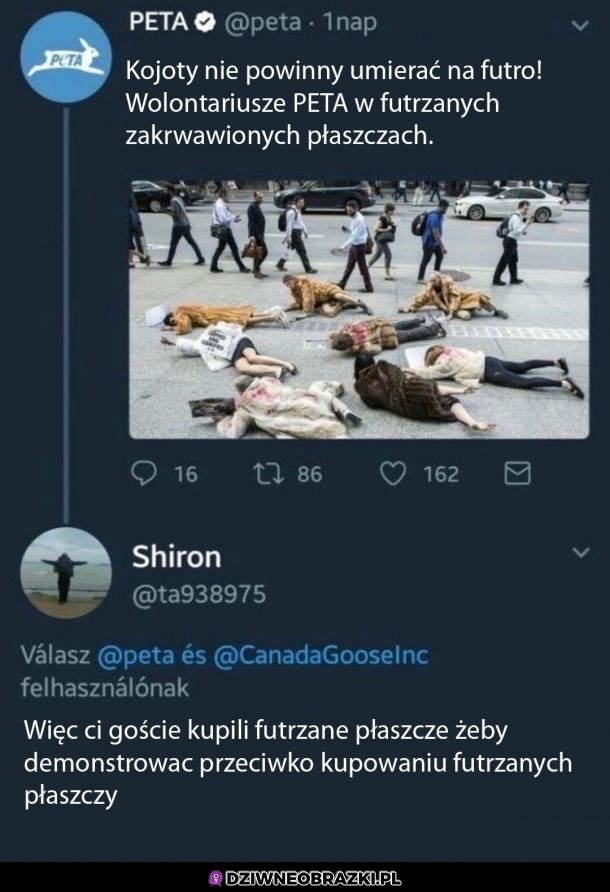 Geniusze