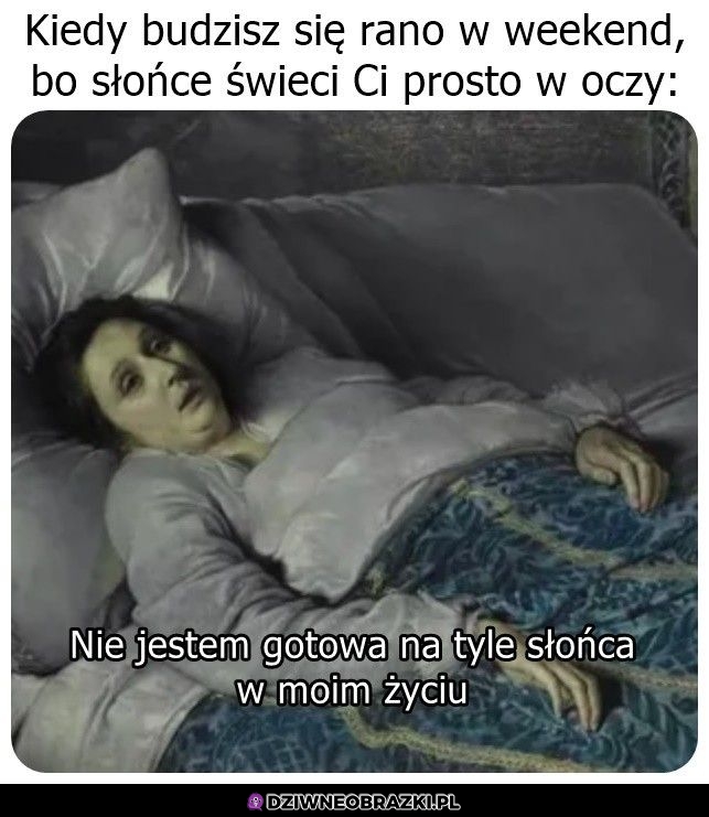 To zbyt wiele