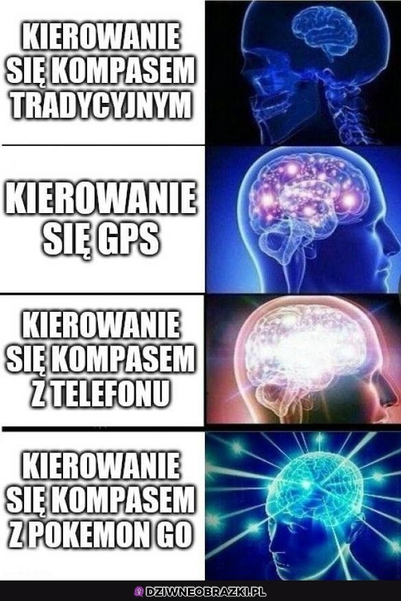 Najlepszy kompas