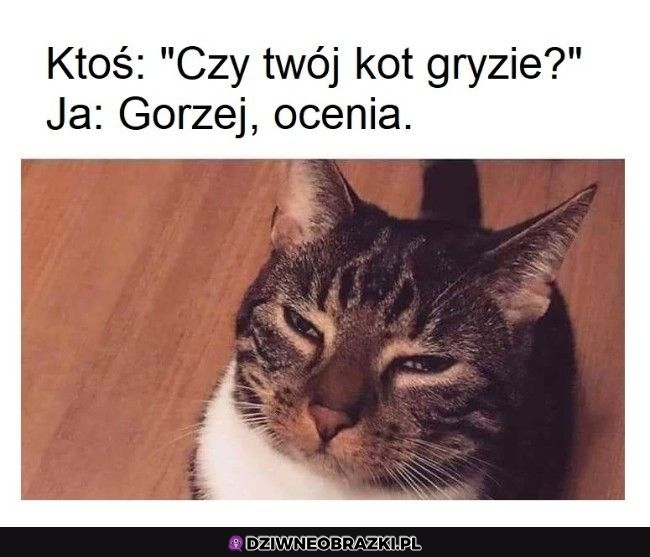 Gorzej