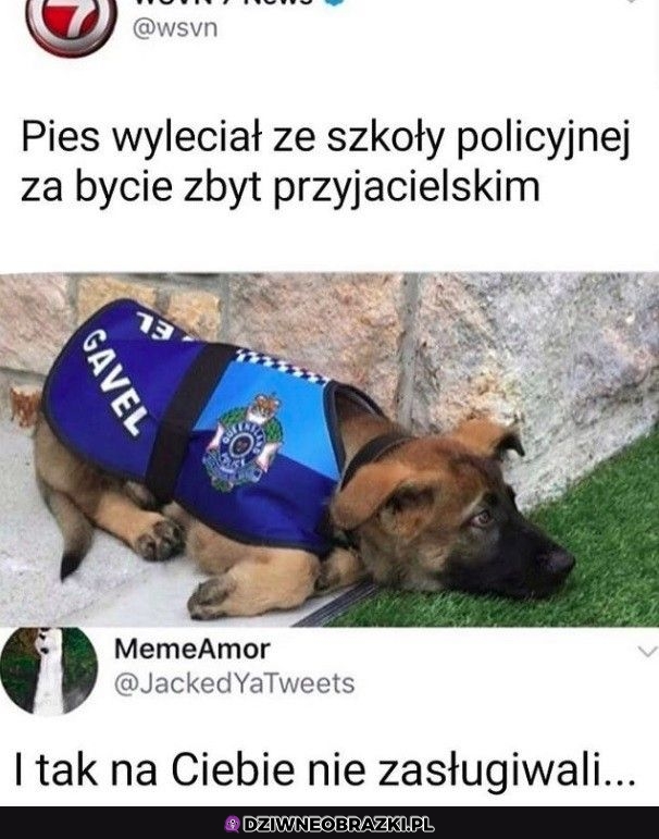 Chętnie go przygarnę