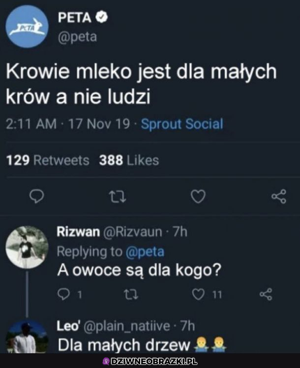 Mądrości wakacyjne