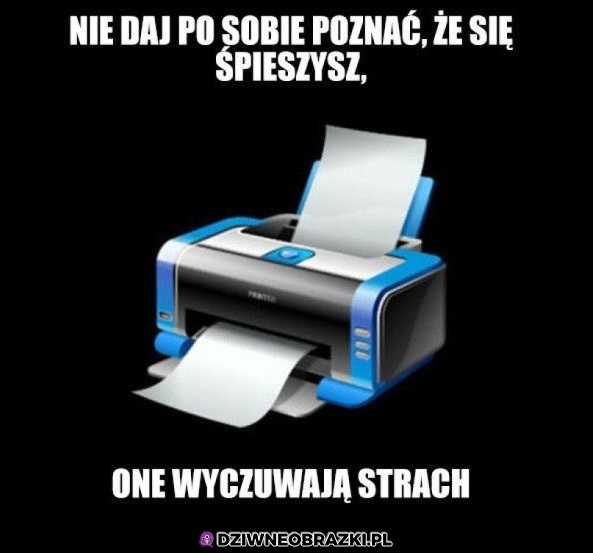 Czują to