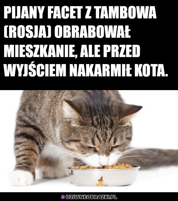 Nie umiem tego skomentować