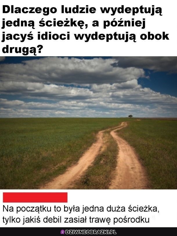 Bez sensu