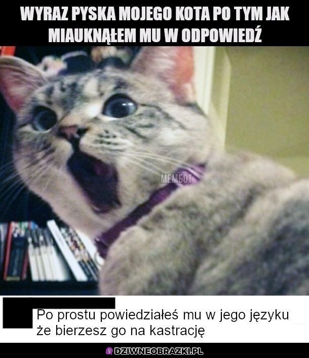 Co ja najlepszego zrobiłem