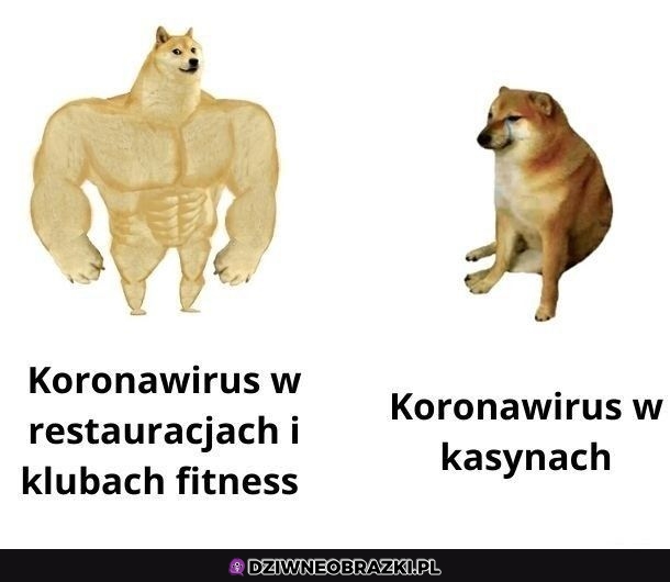 Tam nie ma mocy