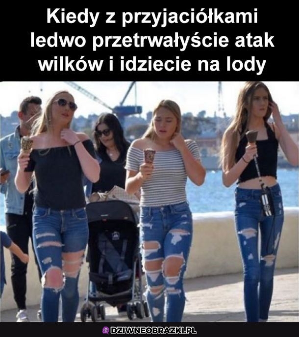 Ten moment po ataku wilków