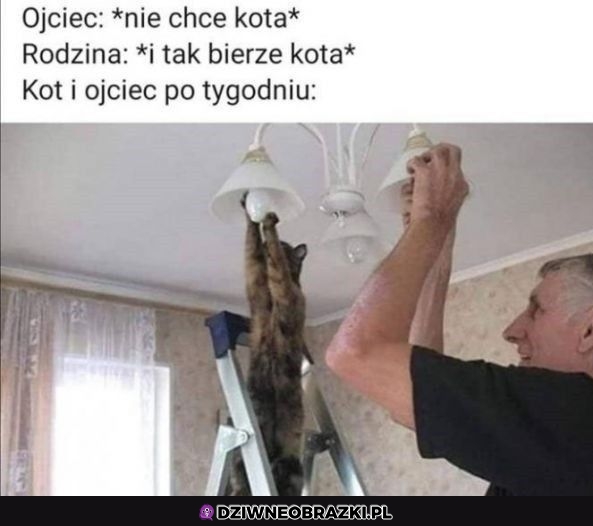 Kot i ojciec