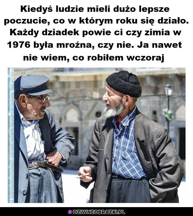 Bez kitu tak