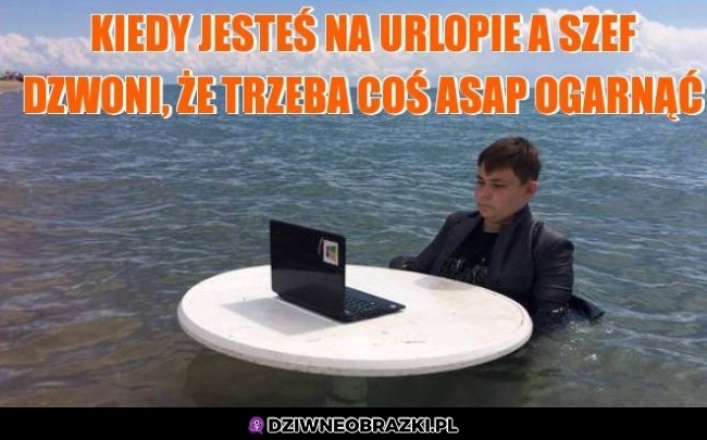 Już ogarniam