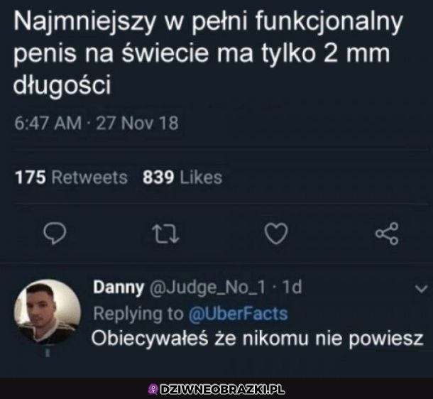 Jak mogłeś