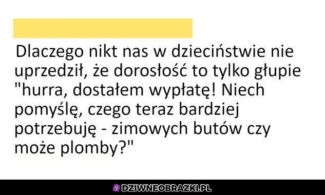 Taka ta dorosłość niestety jest