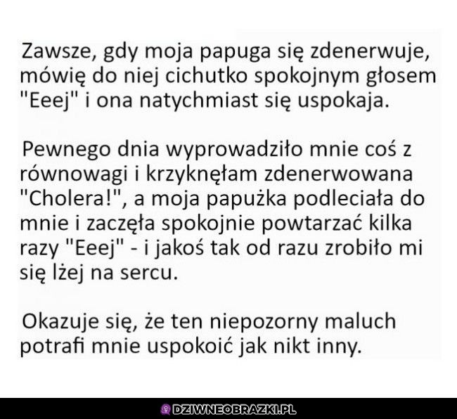 Nauczyła się