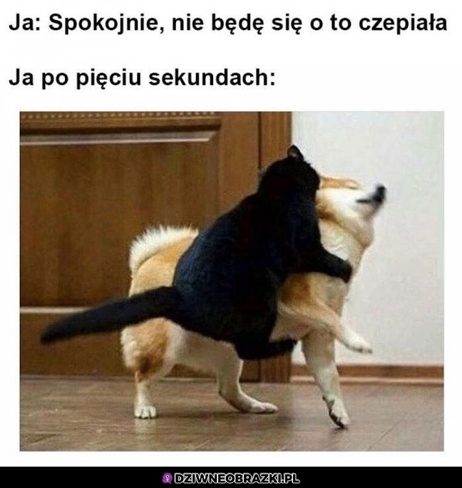 Laski