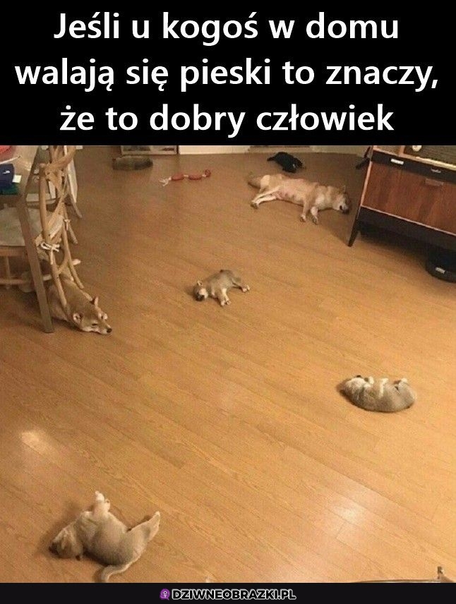 Porozrzucane wszędzie