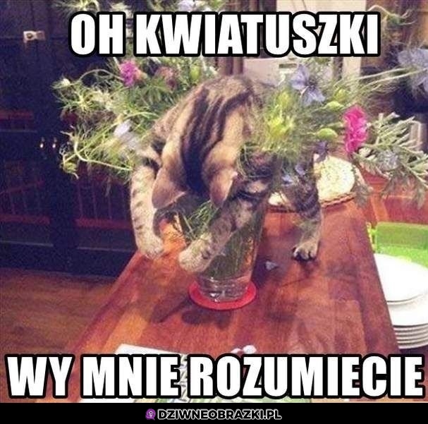 Nie wytrzymam z tą Grażyną