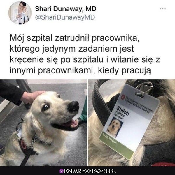 Najlepszy pracownik