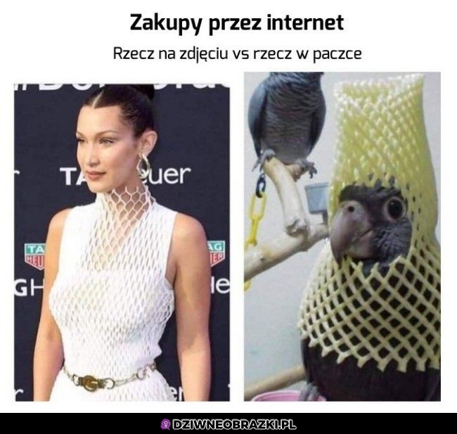 Zakupy przez internet