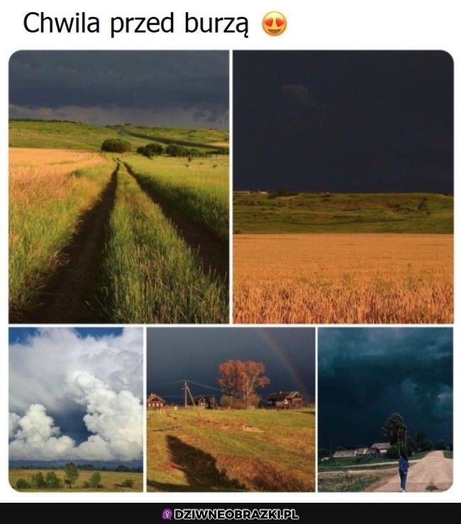 Zdjecia z zapachem Zdjecia z zapachem