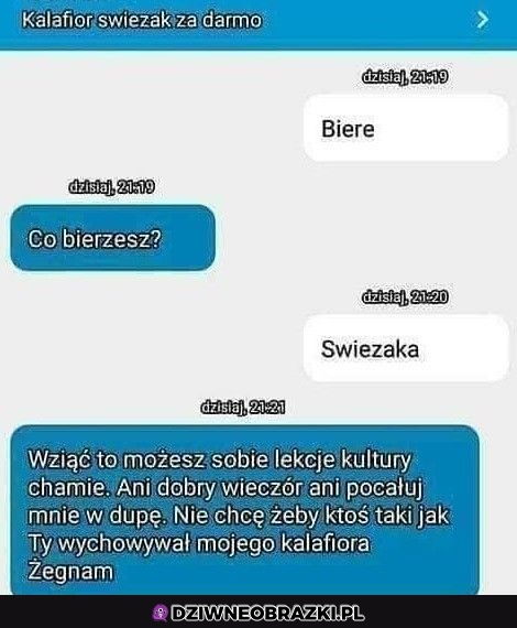 Kiedy oddajesz za darmo świeżaka