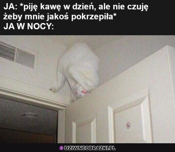 Kiedy kawusia wejdzie