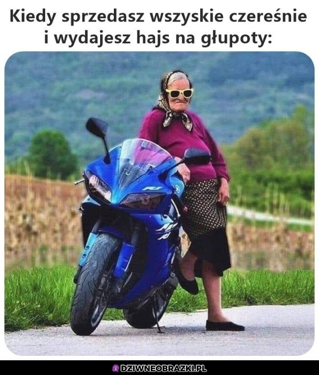 Biznes się kręci