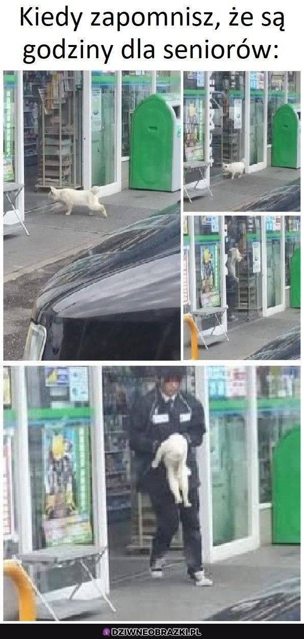 Na szczęscie już je znieśli
