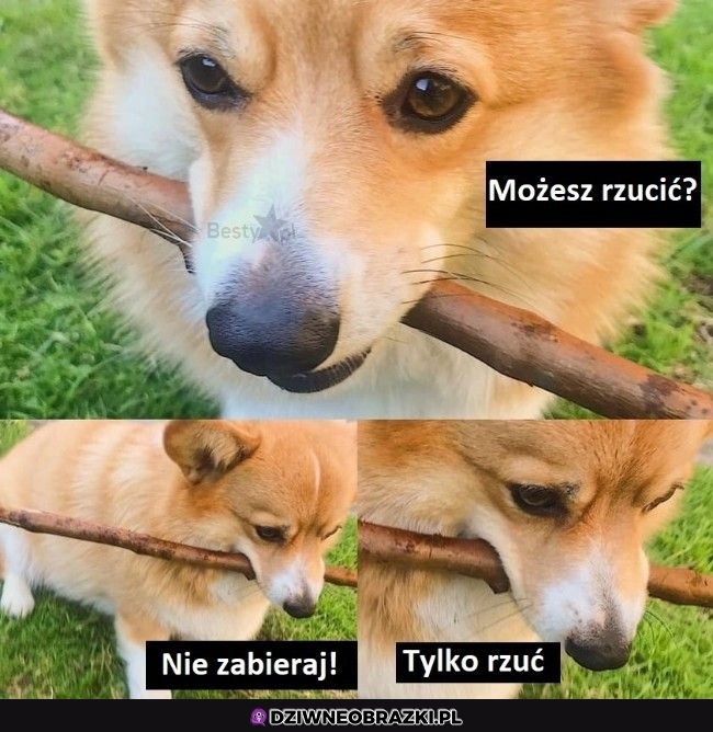 Ale nie zabieraj!