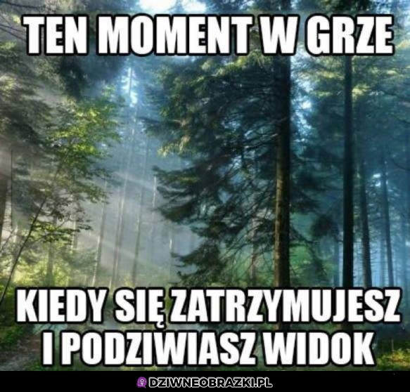 Zdarza się