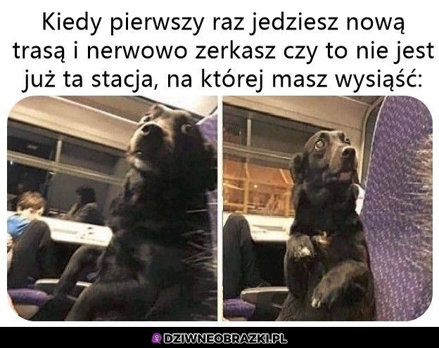 Ta niepewność