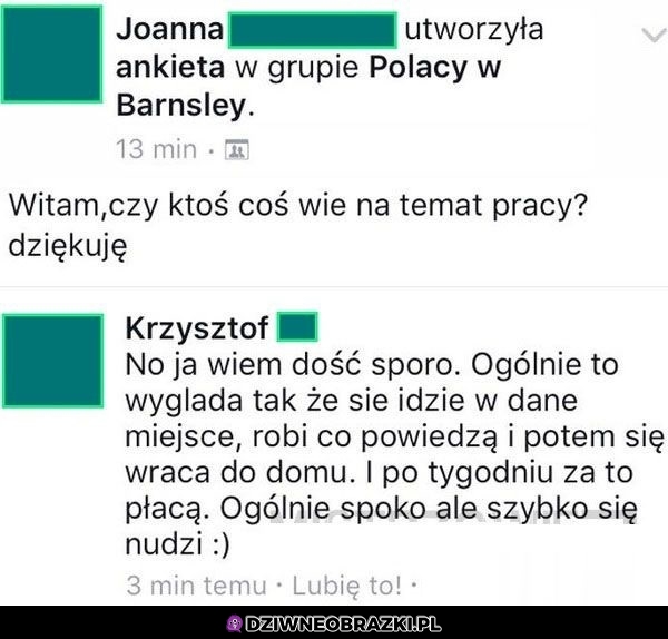 Info o pracy