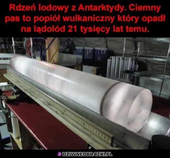 Trochę tego było