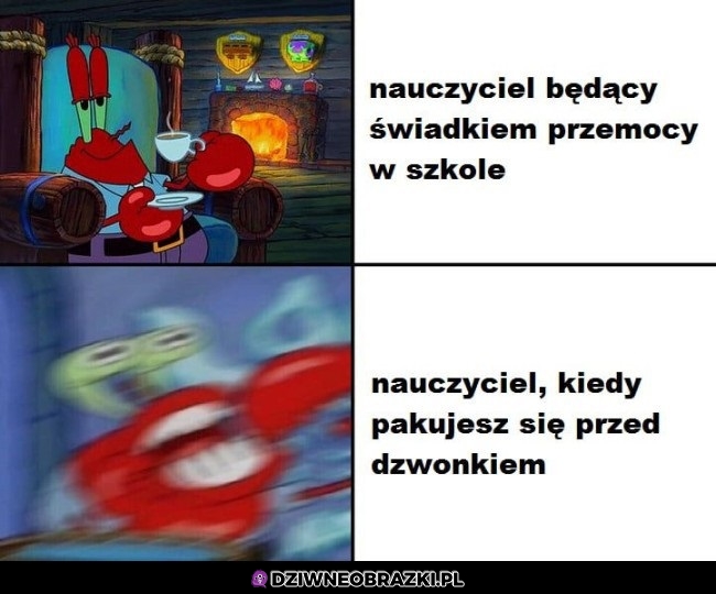 Nauczyciele