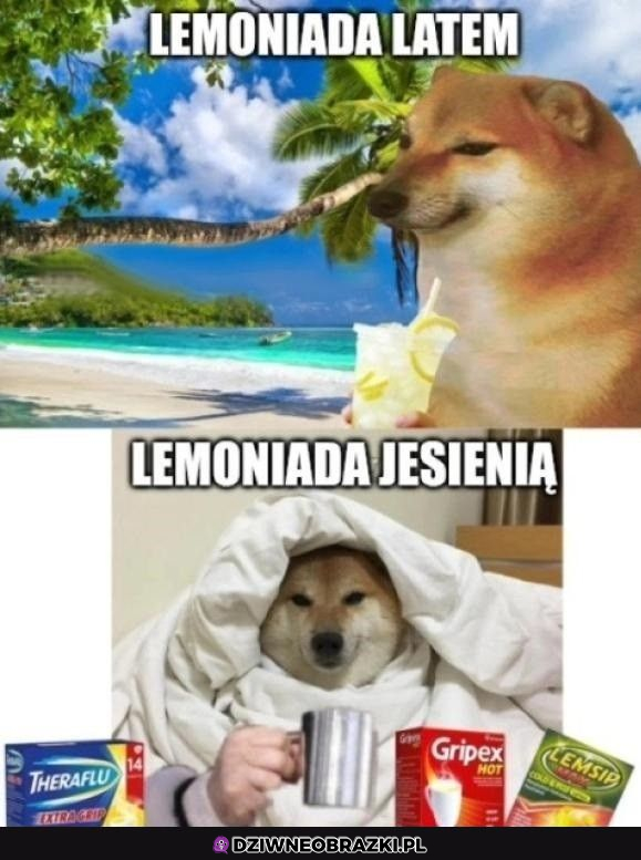 Lato vs Jesień