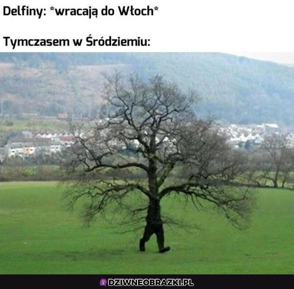Wielkie powroty
