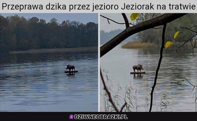 Parostatkiem w piękny rejs