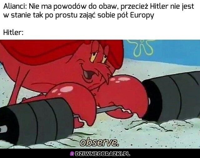 Tymczasem Adi