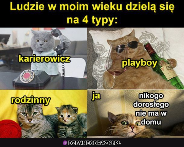 Którym typem jesteś?