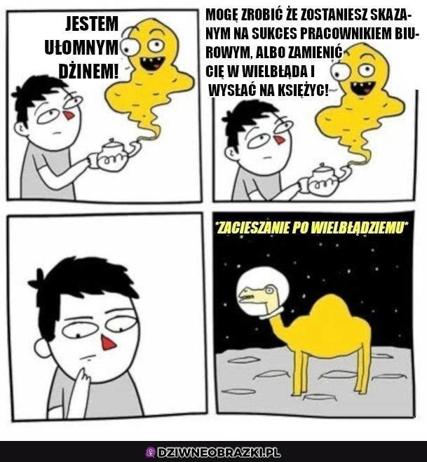 Łatwy wybór