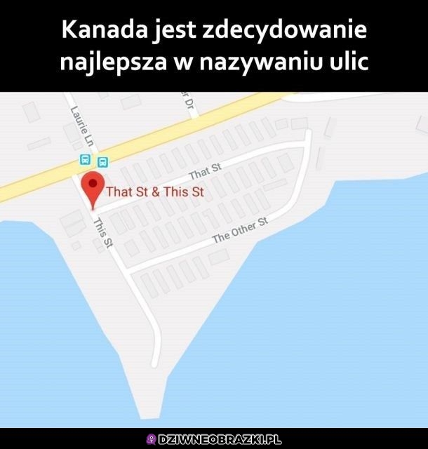Te nazwy