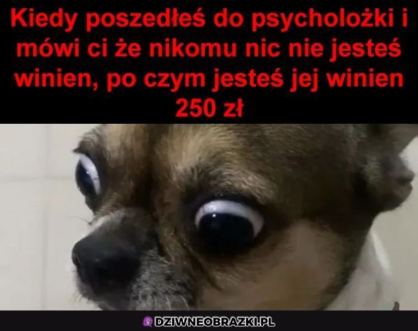 SZOK