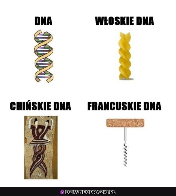 Różne DNA