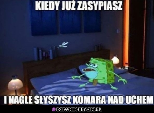 Niech rozpocznie się polowanie