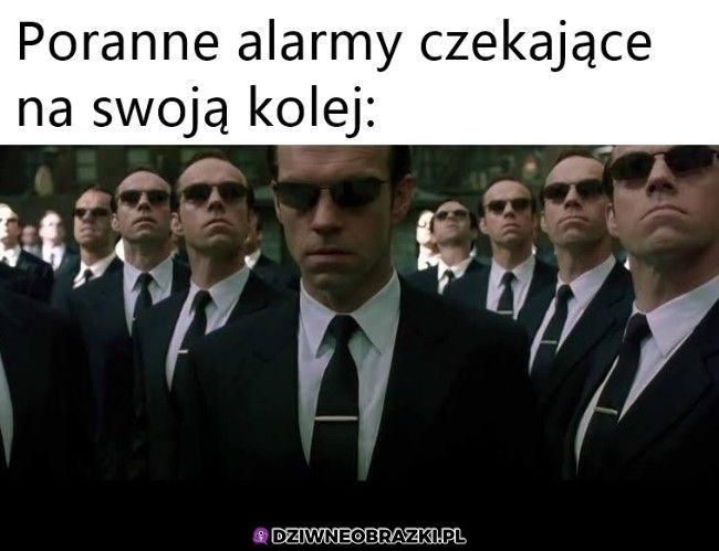 Taki ich wygląd